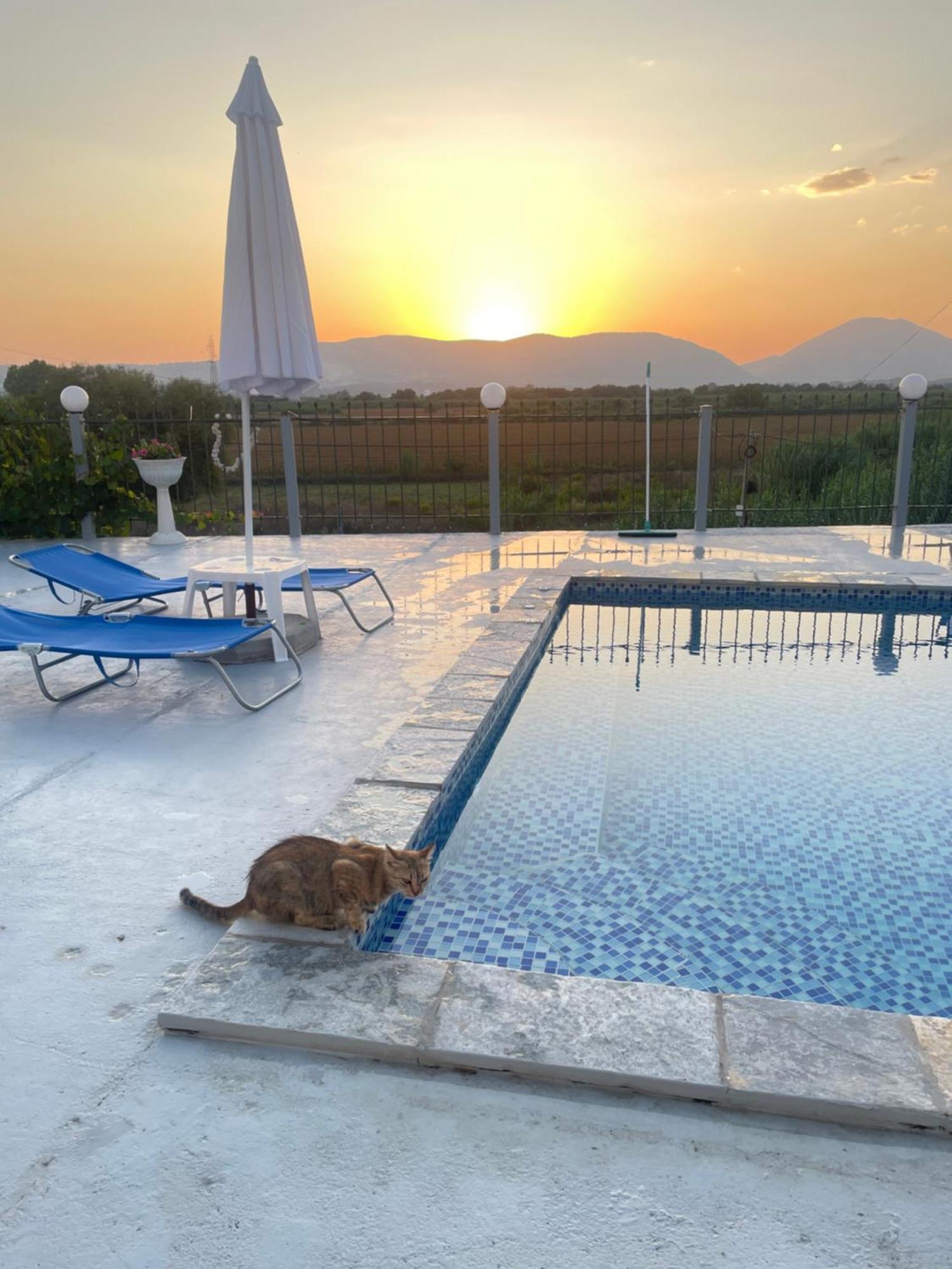 סרנדה Anastasias Apartments מראה חיצוני תמונה
